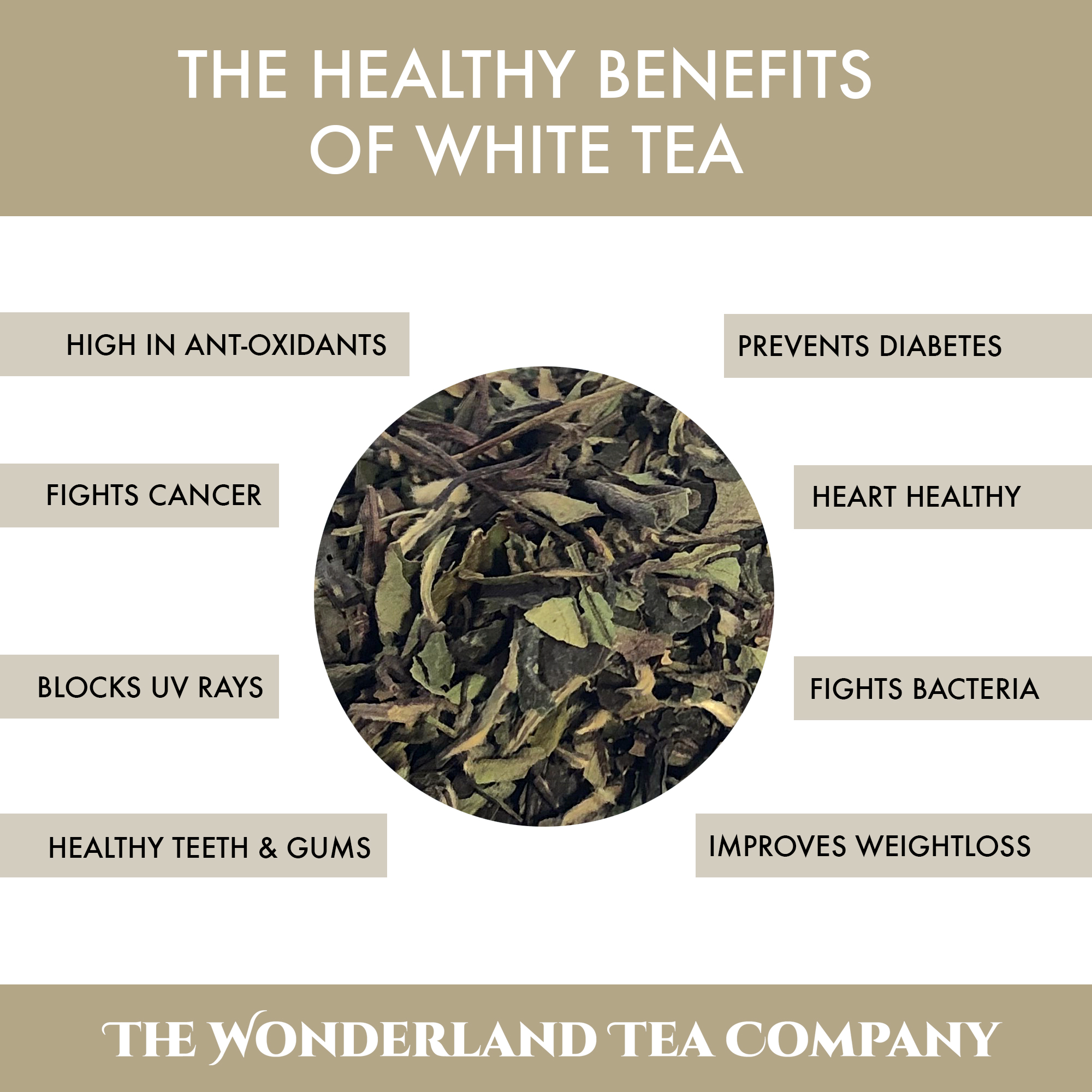 the health benefits of drinking white tea