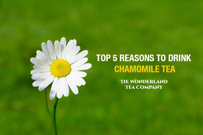 Chamomile tea benefits